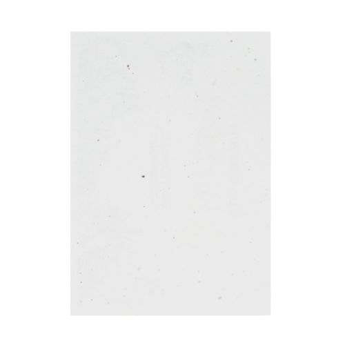 Seedpaper unprinted A4 | 200 gsm - Image 2